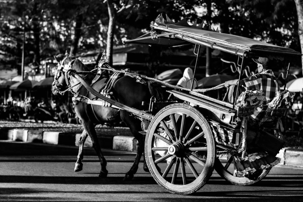 Black and white photo of a horse-drawn carriage in Padang, Indonesia, capturing a traditional transportation scene.